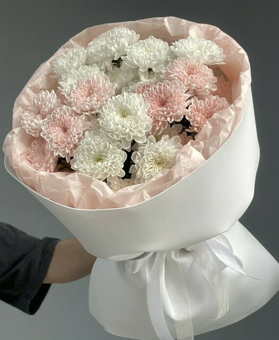 Бархат Бархат