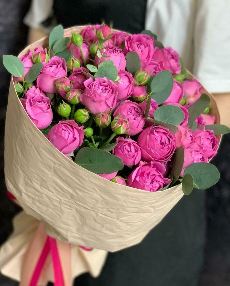 Фиалка Фиалка