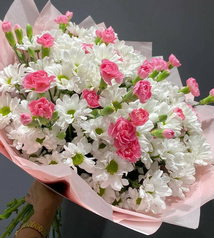 Гармония Гармония