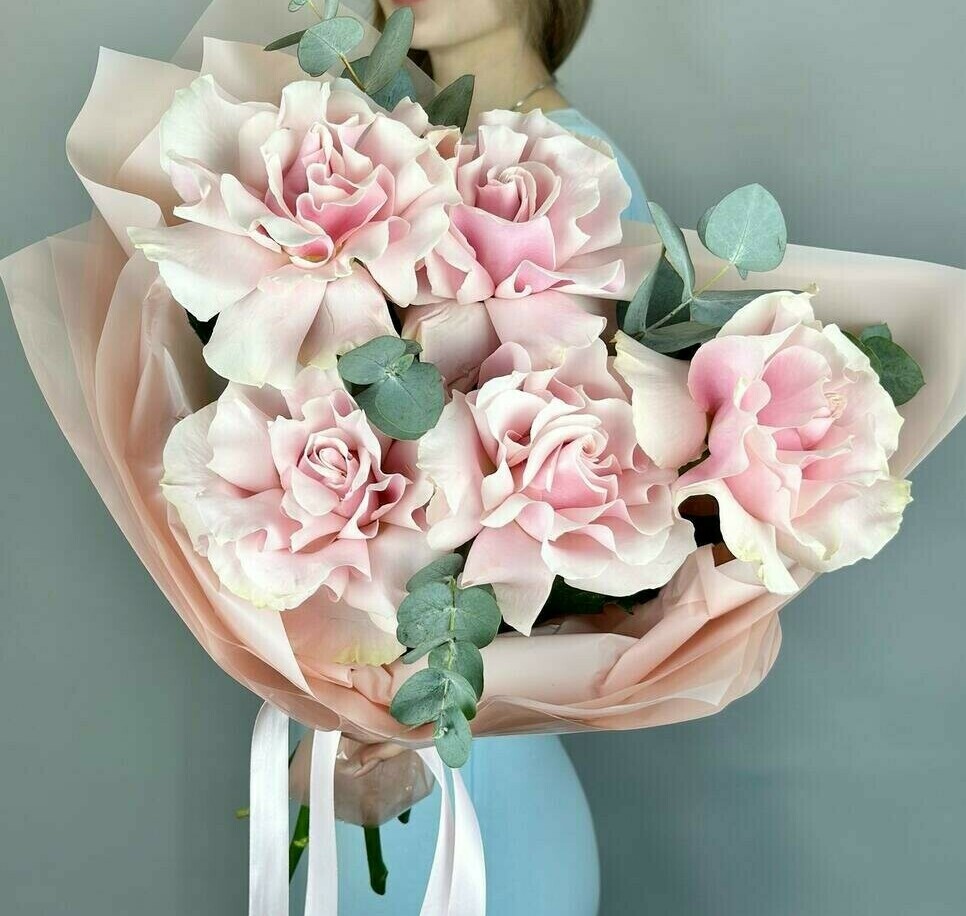 Жизель Жизель