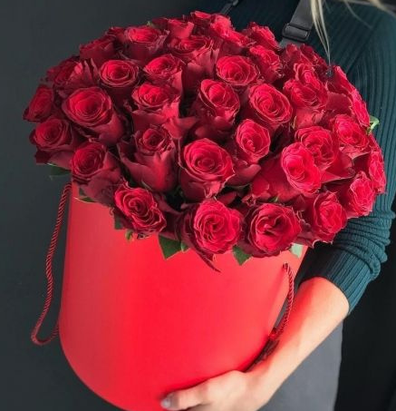 Монако. Монако.