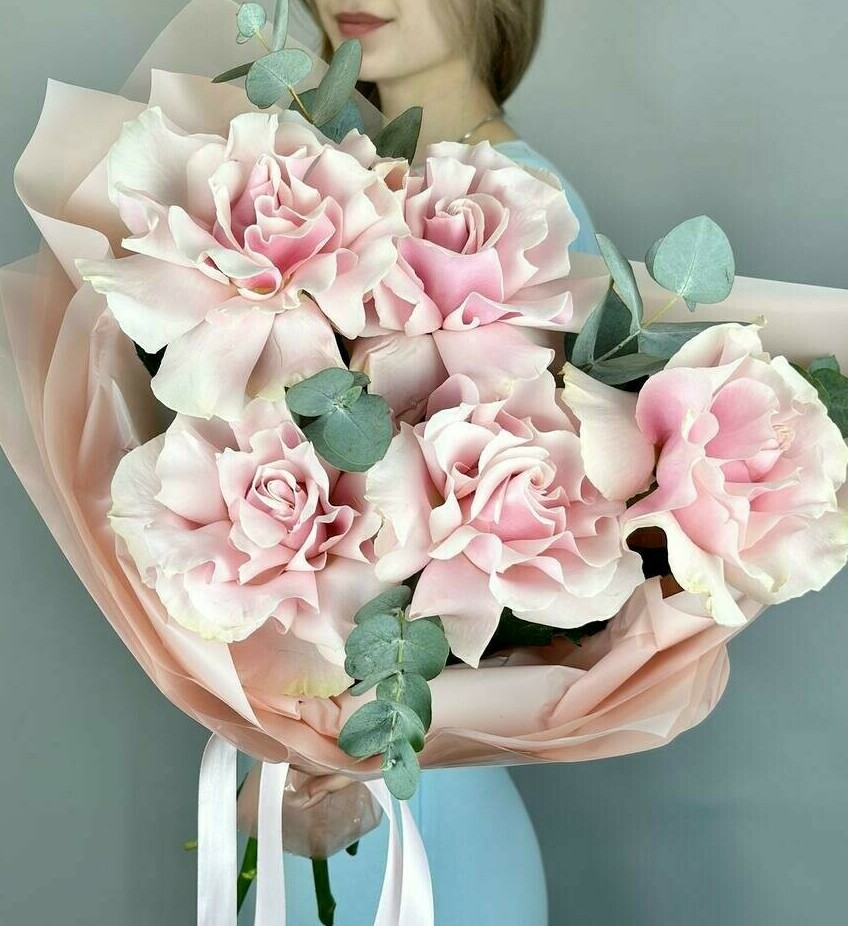 Франция Франция