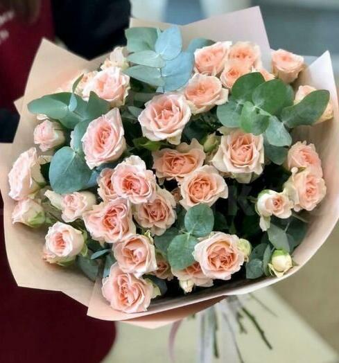 Пионы Сара Пионы Сара