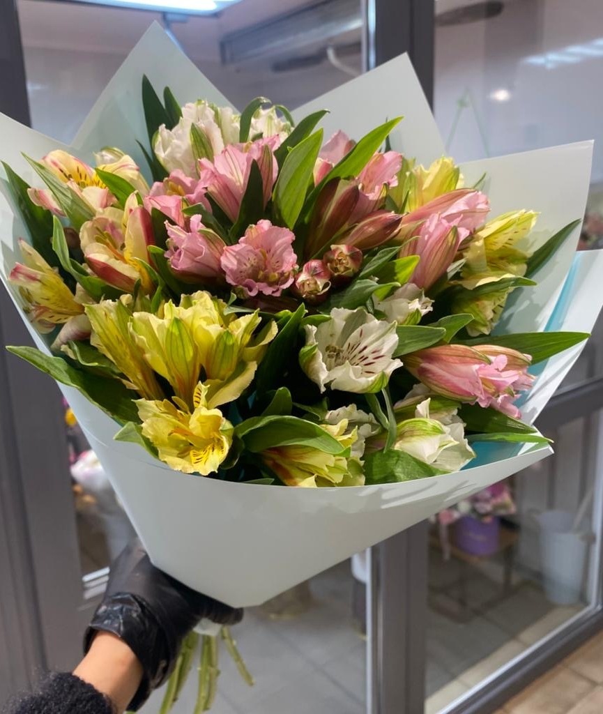 Альстромерии Альстромерии