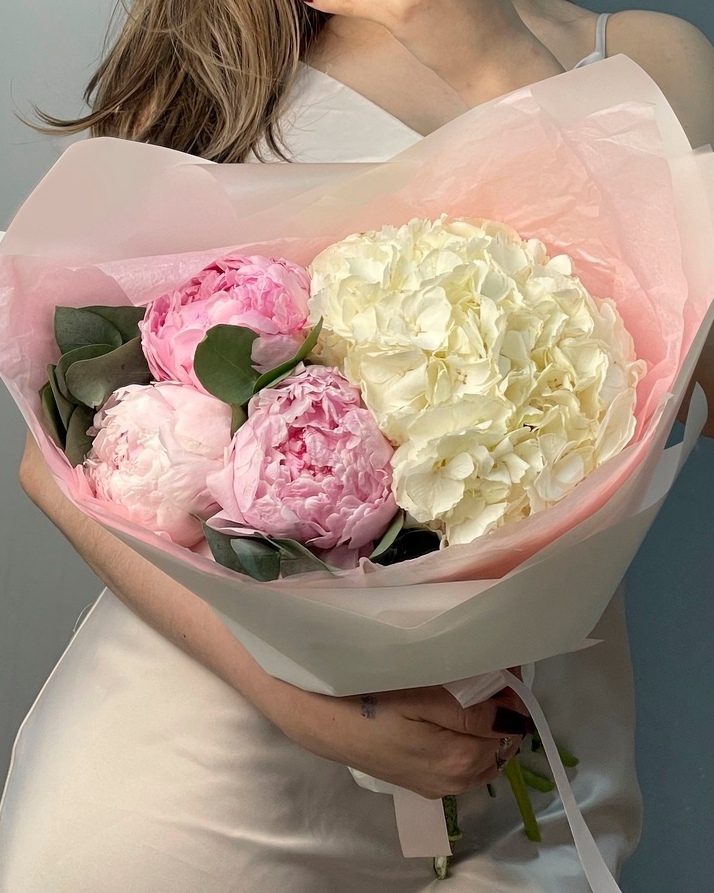 Пиономания Пиономания