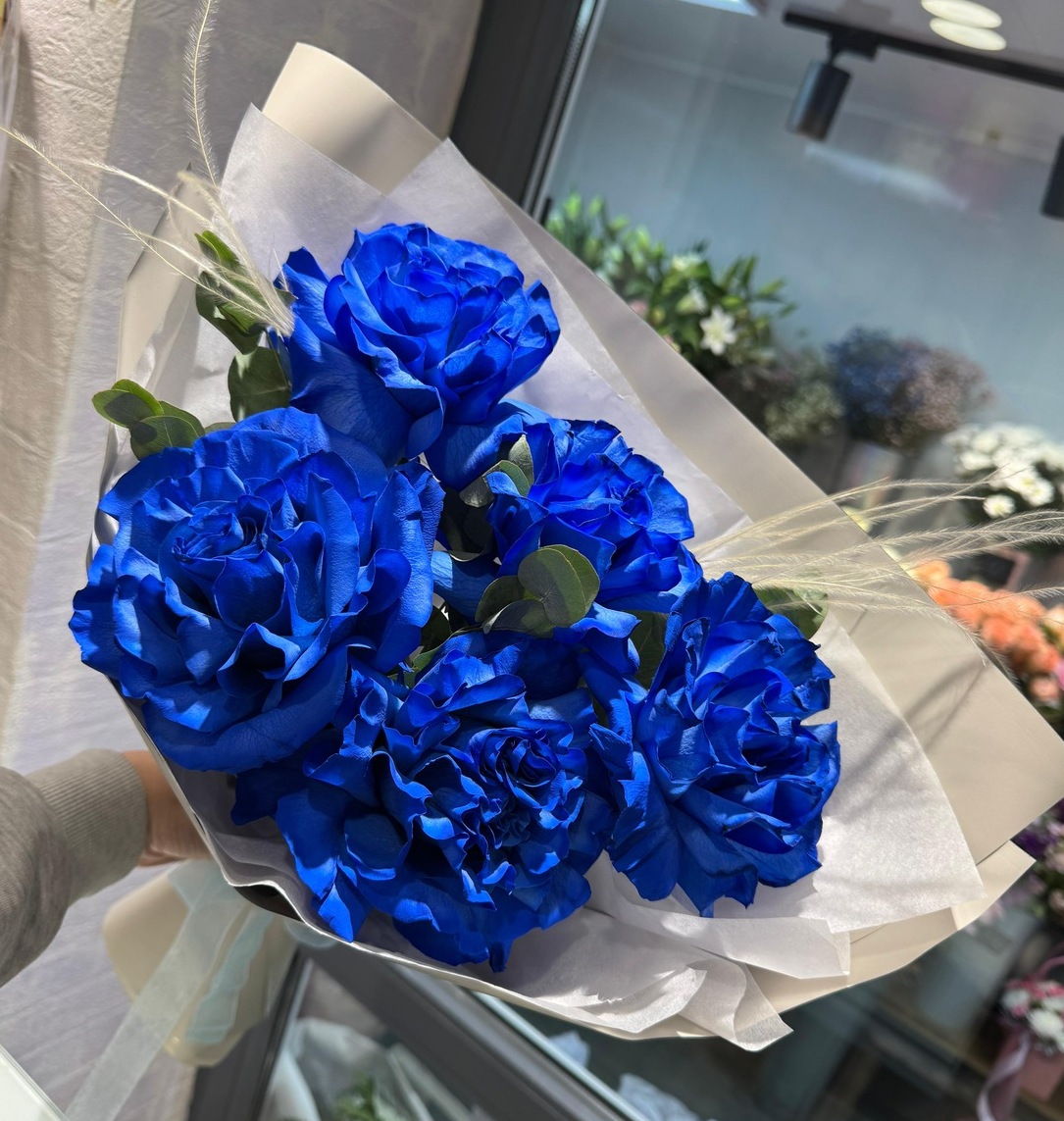 Сирена Сирена