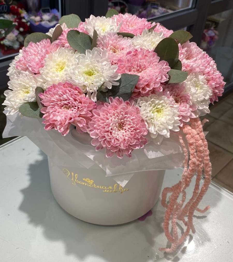 Мирабель Мирабель